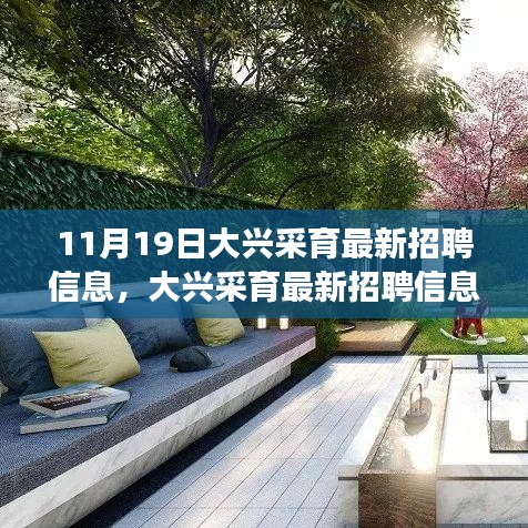 大興采育最新招聘信息發布,職場人的福音降臨(11月19日版)