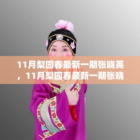 11月梨園春張曉英最新一期表演賞析與學習指南