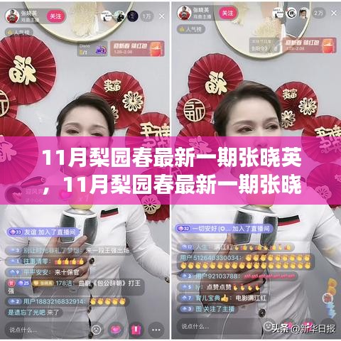 11月梨園春張曉英最新一期表演賞析與學(xué)習(xí)指南