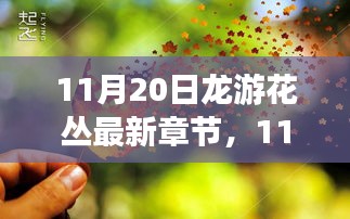 11月20日龍游花叢最新章節(jié),深度測(cè)評(píng)與詳細(xì)介紹