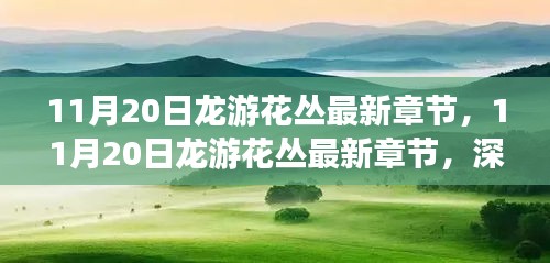 11月20日龍游花叢最新章節(jié),深度測(cè)評(píng)與詳細(xì)介紹
