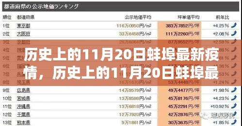 歷史上的11月20日蚌埠疫情深度報告與最新進展分析