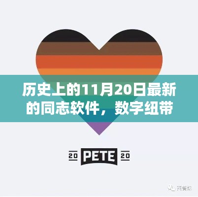 歷史上的11月20日,同志軟件的奇妙紀(jì)念日與數(shù)字紐帶的發(fā)展