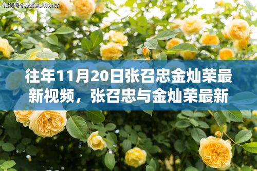 張召忠與金燦榮聚焦軍事、外交熱點最新視頻解析發布