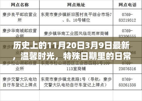 溫馨時光，特殊日期里的日常魔法——歷史上的11月20日與3月9日最新回顧