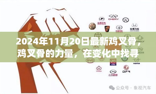 勵(lì)志之旅,雞叉骨的力量與自信成就感的探尋之路(2024年11月20日最新)