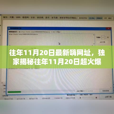 獨家揭秘,往年11月20日超火爆嗨網(wǎng)址大放送,嗨不停歇的狂歡盛宴!