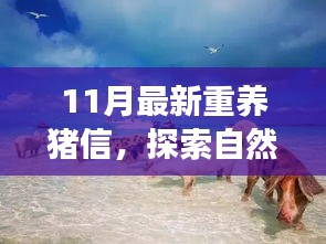 重養豬信,與自然美景的奇妙冒險之旅