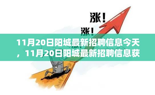陽城最新招聘信息全攻略,初學者與進階用戶均可獲取與應聘指南