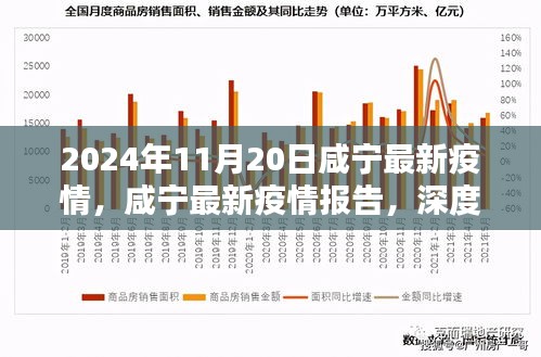 2024年11月20日咸寧疫情報告，深度解析與競品對比，疫情態勢及應對策略