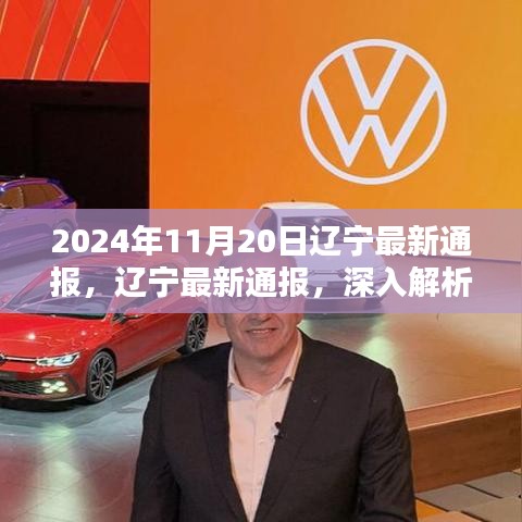 遼寧通報解析，XXXX產(chǎn)品特性與體驗深度探討，競品對比與目標用戶群體深度分析（2024年11月20日）