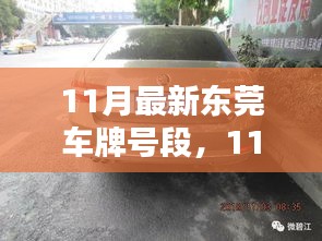 11月最新東莞車牌號段評測與詳解