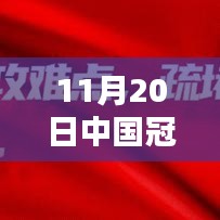 中國冠狀病毒最新狀態(tài)深度解析(截至日期,11月20日)