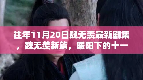 暖陽下的十一月奇緣,魏無羨最新劇集揭秘