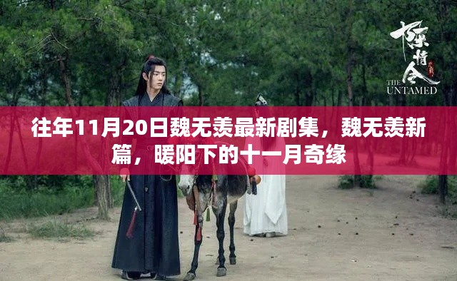 暖陽下的十一月奇緣,魏無羨最新劇集揭秘