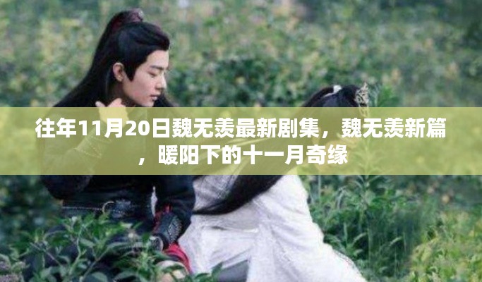 暖陽下的十一月奇緣,魏無羨最新劇集揭秘