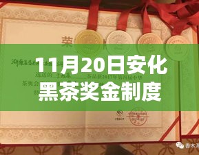 安化黑茶獎金制度最新解析及全面產品特性與使用體驗探討