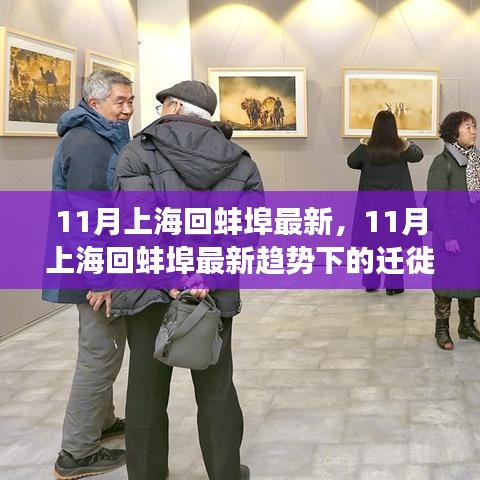 11月上海回蚌埠最新趨勢觀察與遷徙個人觀點分享