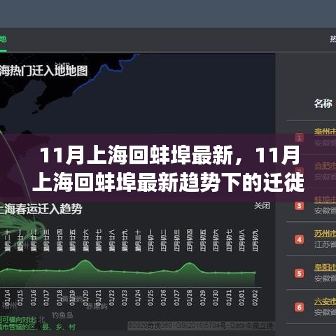 11月上海回蚌埠最新趨勢觀察與遷徙個人觀點分享