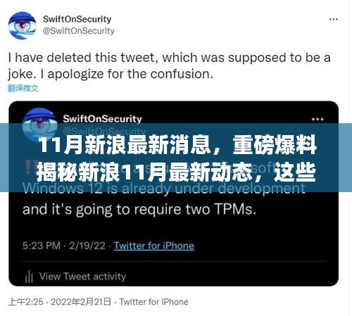 揭秘新浪11月最新動態，重磅消息一網打盡