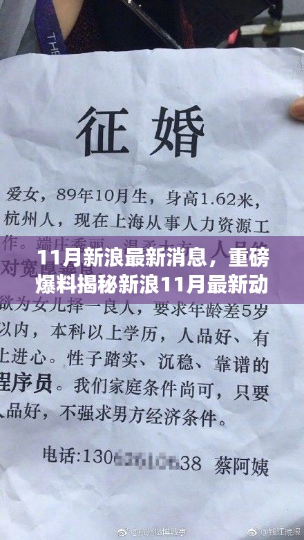 揭秘新浪11月最新動(dòng)態(tài),重磅消息一網(wǎng)打盡