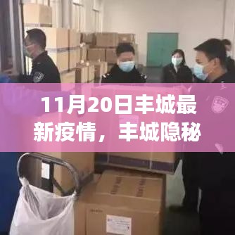 豐城隱秘小巷,疫情下的獨特風味探秘——最新疫情觀察報告(11月20日)