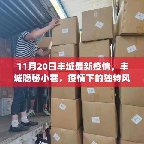 豐城隱秘小巷,疫情下的獨特風味探秘——最新疫情觀察報告(11月20日)