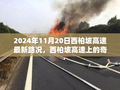 產品展示 第744頁