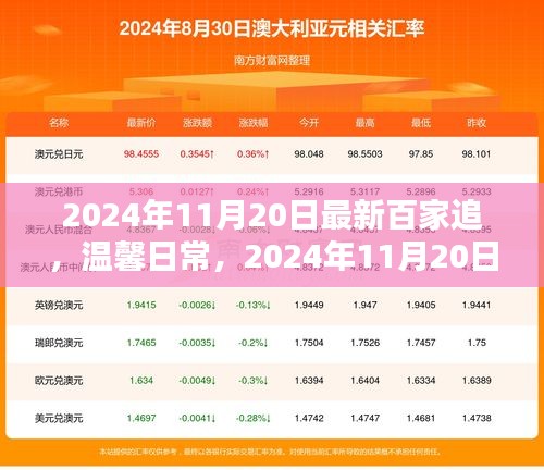 2024年11月20日百家追的溫馨奇遇