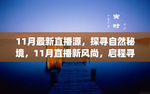 探尋自然秘境,11月直播新風尚,啟程內心平和之旅