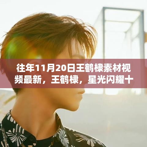 王鶴棣星光閃耀十一月,最新素材視頻回顧