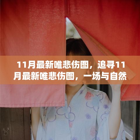 11月最新唯悲傷圖,與自然共舞的心靈治愈之旅