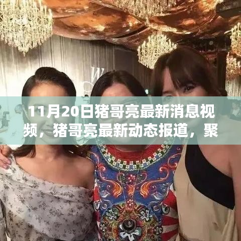 豬哥亮最新動(dòng)態(tài)報(bào)道,聚焦其最新消息視頻(11月20日更新)