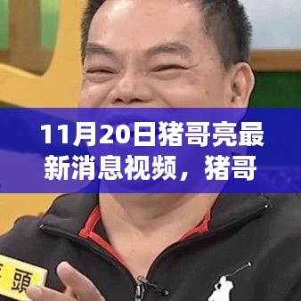 豬哥亮最新動(dòng)態(tài)報(bào)道,聚焦其最新消息視頻(11月20日更新)