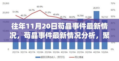 茍晶事件最新動態與觀點聚焦,最新情況分析與聚焦某某觀點