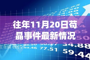 茍晶事件最新動態與觀點聚焦,最新情況分析與聚焦某某觀點