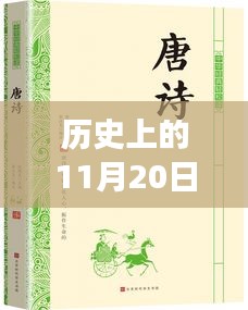 麻衣神算子最新章節閱讀指南,歷史11月20日更新,初學者與進階用戶必讀