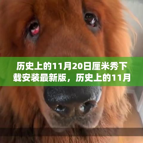 歷史上的11月20日,厘米秀最新版的探索之旅
