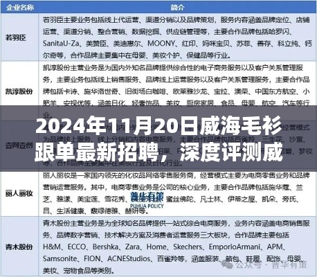 威海毛衫跟單最新招聘深度解析,特性、用戶體驗與目標(biāo)受眾分析