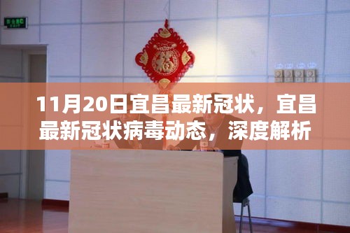 宜昌最新冠狀病毒動態深度解析與案例分析(11月20日更新版)