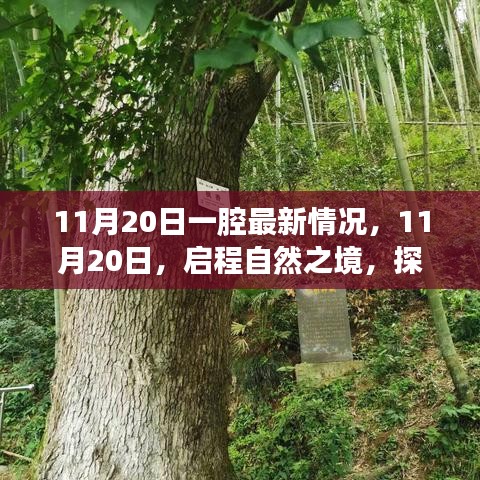 11月20日啟程自然之境，探尋內心的桃花源最新動態