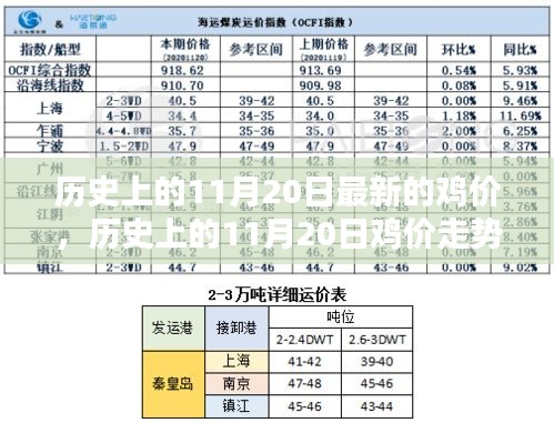 歷史上的雞價走勢,揭秘11月20日的雞價走勢分析