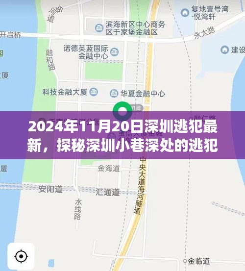 探秘深圳小巷深處的逃犯新去處,特色小店背后的故事(2024年11月20日深圳逃犯最新)