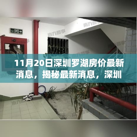 深圳羅湖房價最新動態及市場趨勢解析(11月20日數據揭秘)