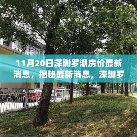 深圳羅湖房價最新動態(tài)及市場趨勢解析(11月20日數(shù)據(jù)揭秘)