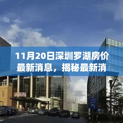 深圳羅湖房價最新動態(tài)及市場趨勢解析(11月20日數(shù)據(jù)揭秘)