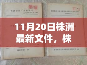 株洲市政府文件操作指南,解讀最新文件,適合初學者與進階用戶了解遵循(11月20日版)