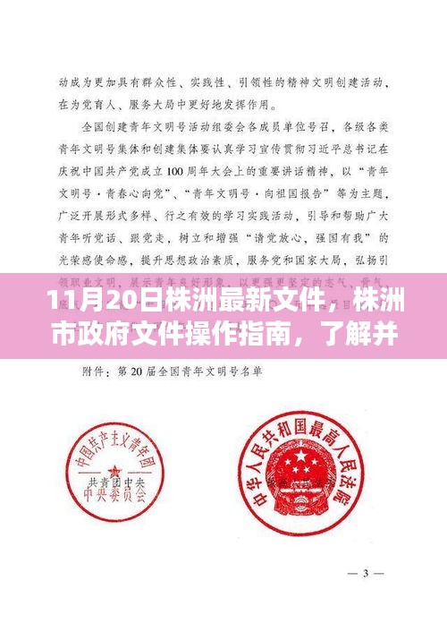 株洲市政府文件操作指南,解讀最新文件,適合初學者與進階用戶了解遵循(11月20日版)