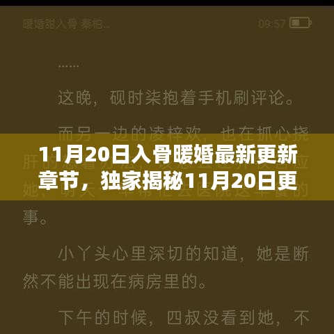 獨(dú)家揭秘,入骨暖婚最新更新章節(jié),高科技革新重塑婚姻未來(lái)體驗(yàn)