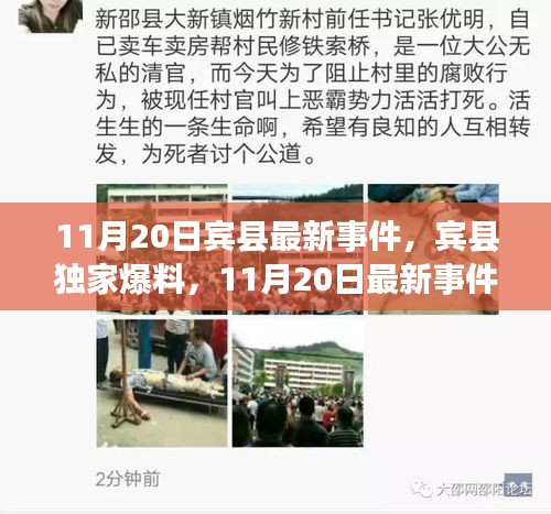 賓縣獨家爆料,11月20日最新事件全解析,小紅書直擊現(xiàn)場!